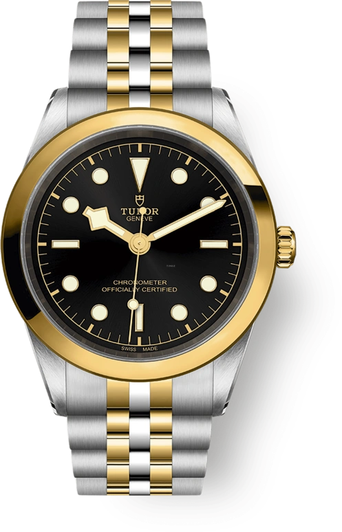 Tudor Black Bay 31-36-39-41 79683-0001