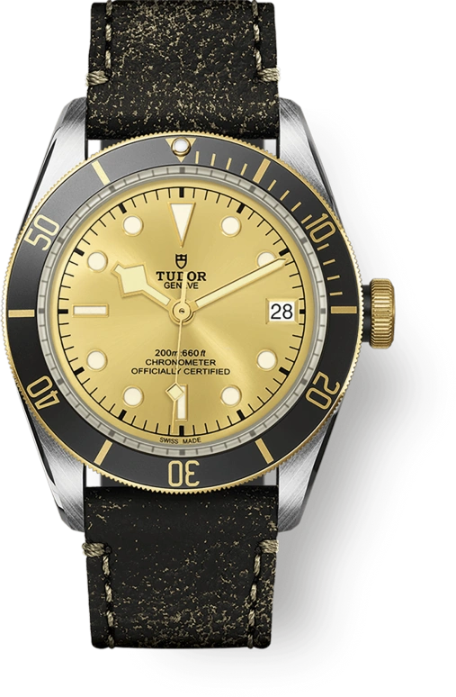 Tudor,Black Bay 41mm,41mm,Yellow Gold,Stainless Steel,Champagne,Automatic,Date,70hours,79733N,79733N-0003