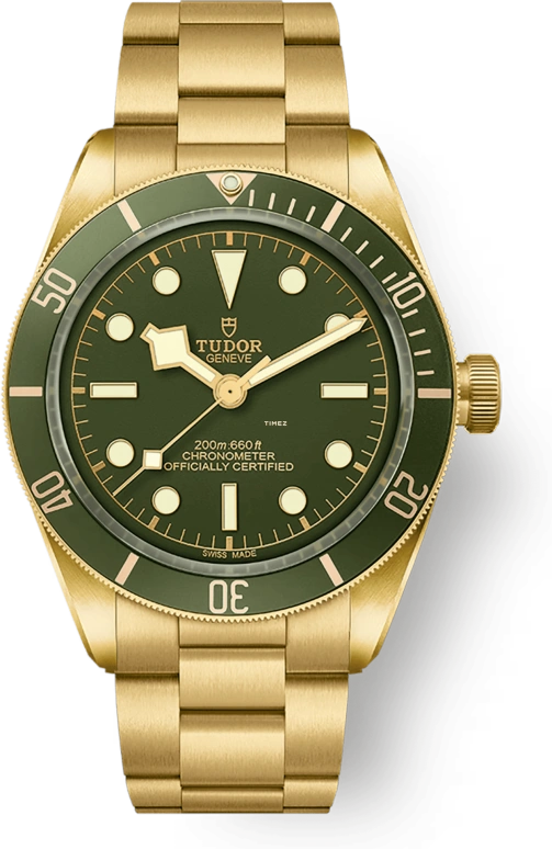 Tudor Black Bay 58 79018V-0006
