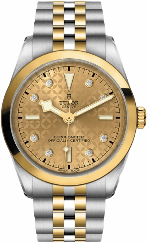 Tudor,Black Bay 31-36-39-41 36mm,36mm,Yellow Gold,Stainless Steel,Champagne,Automatic,70hours,In-house Caliber,79643,79643-0004