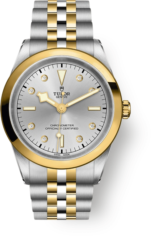 Tudor,Black Bay 31-36-39-41 41mm,41mm,Yellow Gold,Stainless Steel,Silver,Automatic,70hours,In-house Caliber,79683,79683-0007