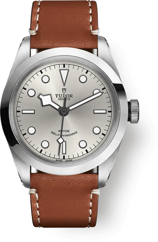Tudor Black Bay 31-36-39-41 79540-0013
