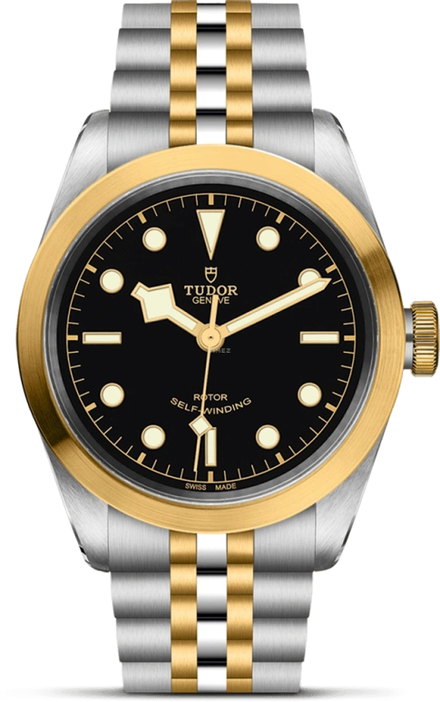 Tudor Black Bay 31-36-39-41 79543-0001