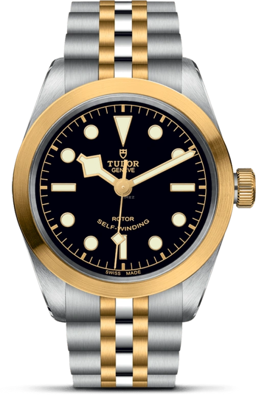 Tudor Black Bay 31-36-39-41 79503-0001