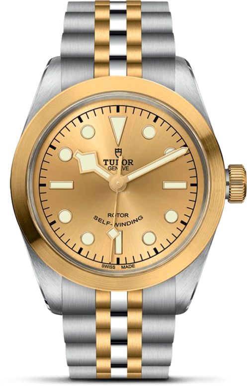 Tudor Black Bay 31-36-39-41 79503-0002