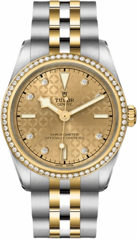 Tudor Black Bay 31-36-39-41 79613-0004