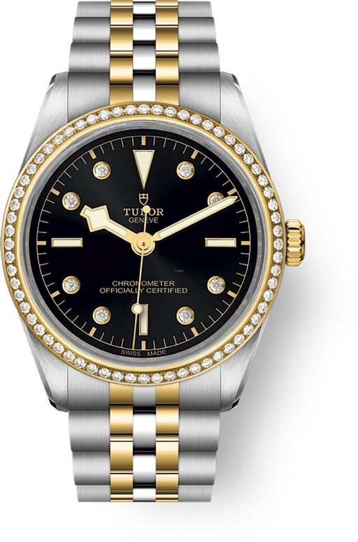 Tudor Black Bay 31-36-39-41 79653-0005