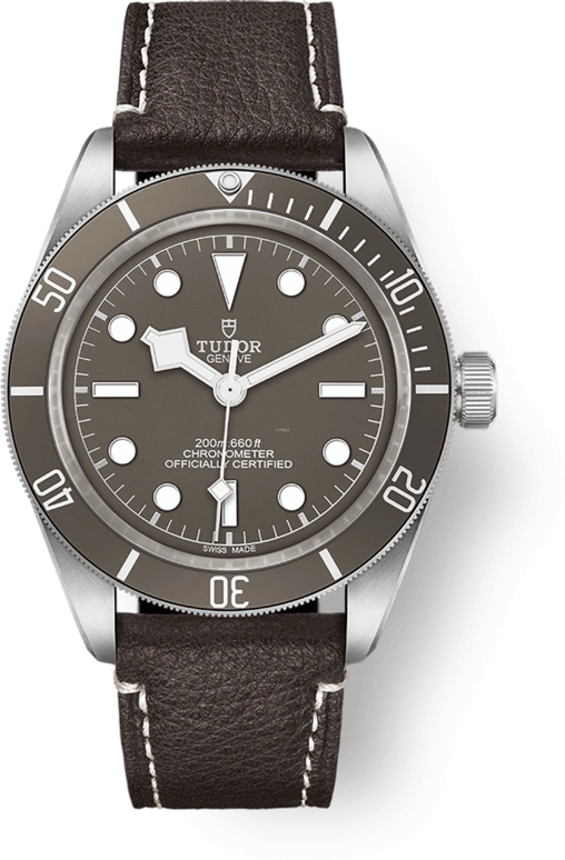 Tudor Black Bay 58 79010SG-0001