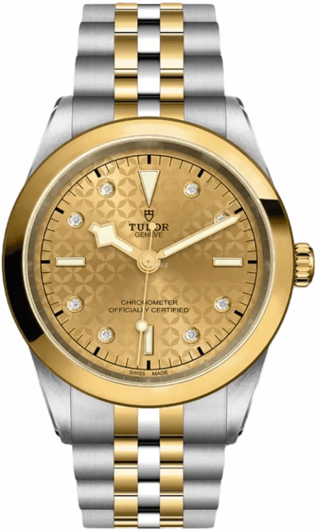 Tudor,Black Bay 31-36-39-41 41mm,41mm,Yellow Gold,Stainless Steel,Champagne,Automatic,70hours,In-house Caliber,79683,79683-0004