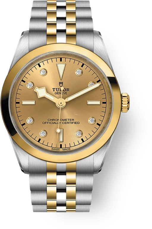 Tudor Black Bay 31-36-39-41 79643-0008