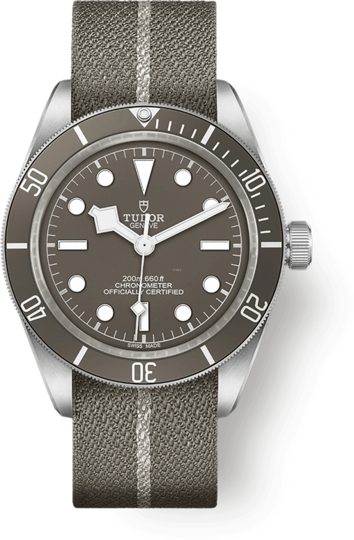 Tudor Black Bay 58 79010SG-0002
