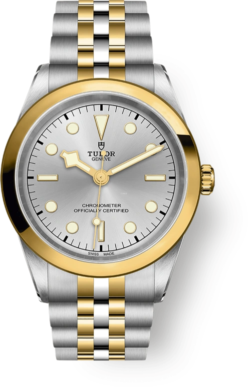 Tudor Black Bay 31-36-39-41 79683-0002