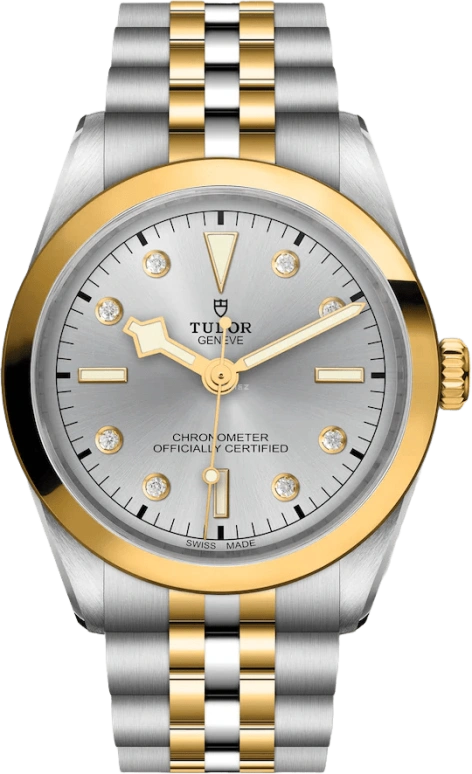 Tudor,Black Bay 31-36-39-41 36mm,36mm,Yellow Gold,Stainless Steel,Silver,Automatic,70hours,In-house Caliber,79643,79643-0007