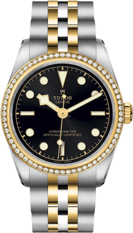 Tudor Black Bay 31-36-39-41 79613-0001