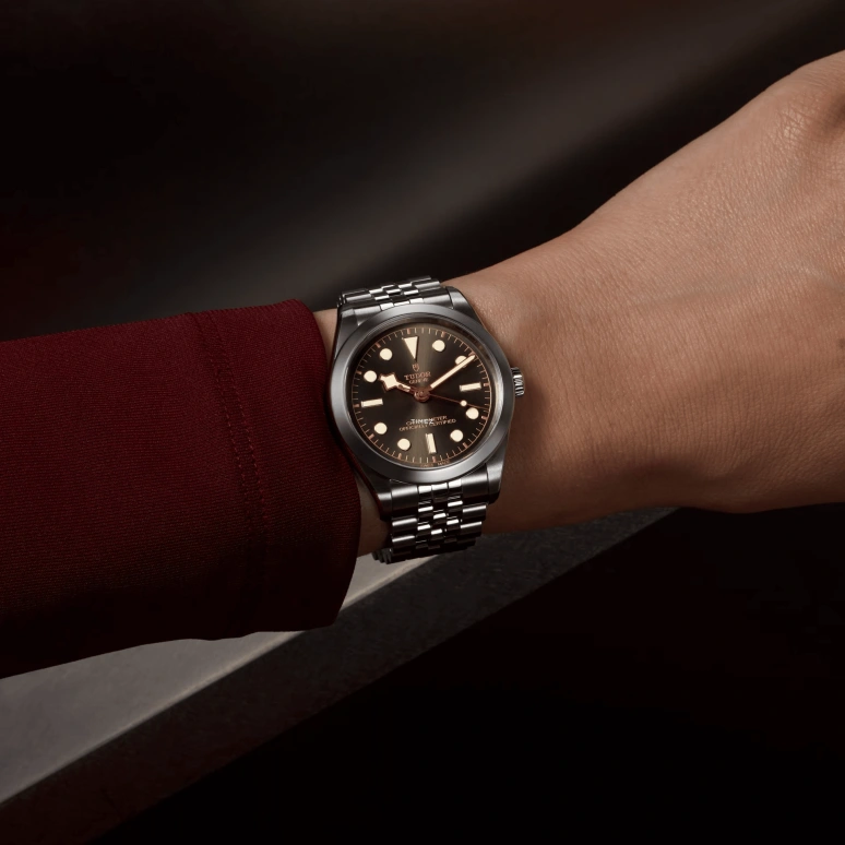 Tudor,Black Bay 31-36-39-41 39mm,39mm,Stainless Steel,Gunmetal Gray,Automatic,70hours,In-house Caliber,79660,79660-0001