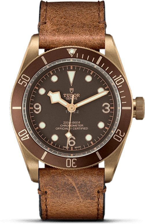Tudor Black Bay 79250BM-0001