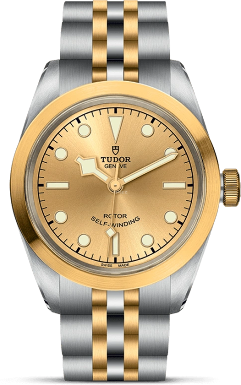 Tudor Black Bay 31-36-39-41 79583-0002
