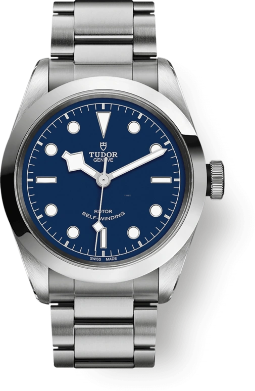 Tudor Black Bay 31-36-39-41 79540-0004