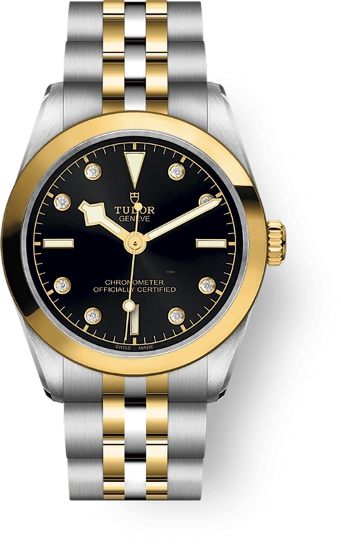 Tudor Black Bay 31-36-39-41 79603-0006
