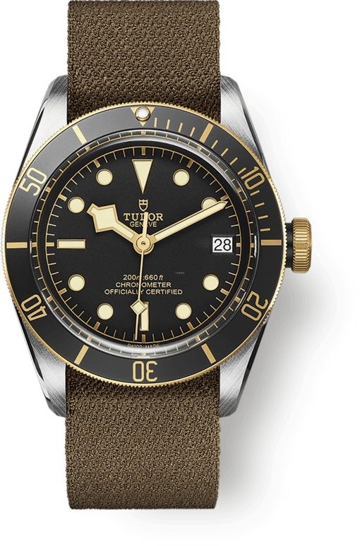 Tudor Black Bay 79733N-0005