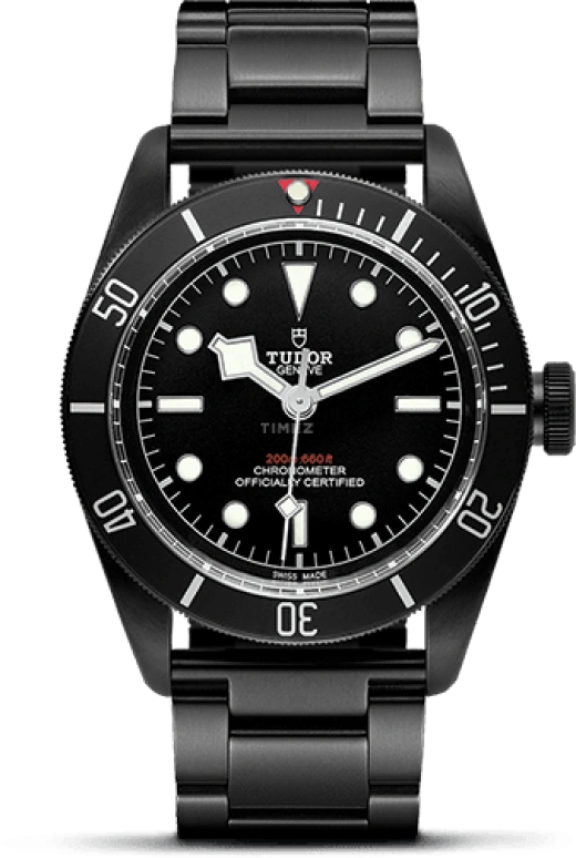 Tudor Black Bay 79230DK-0001