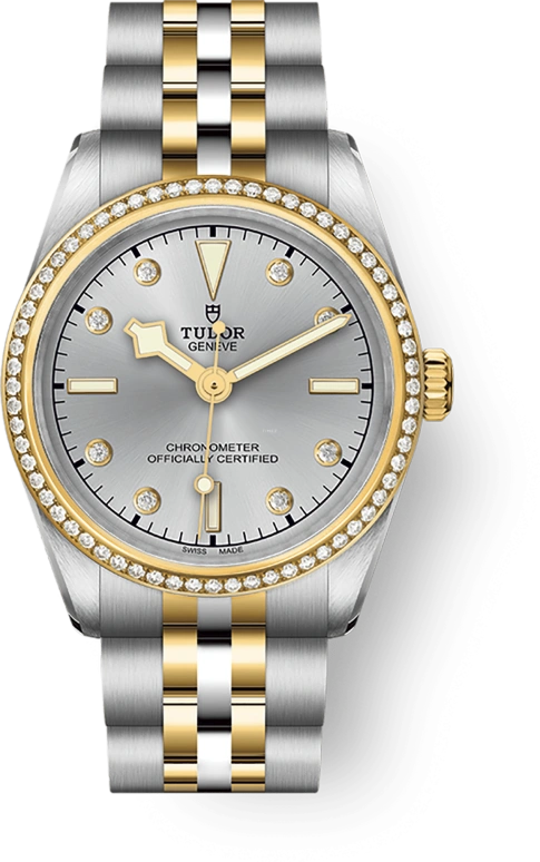 Tudor Black Bay 31-36-39-41 79613-0006