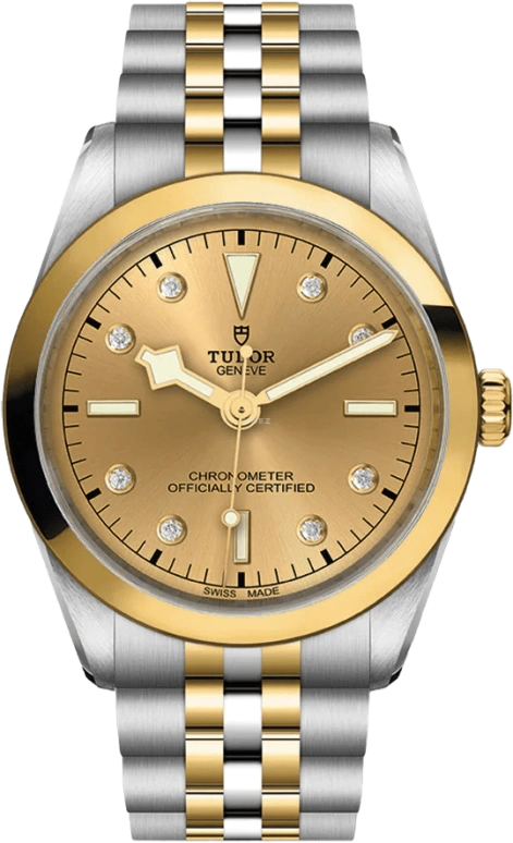Tudor,Black Bay 31-36-39-41 36mm,36mm,Yellow Gold,Stainless Steel,Champagne,Automatic,70hours,In-house Caliber,79643,79643-0008