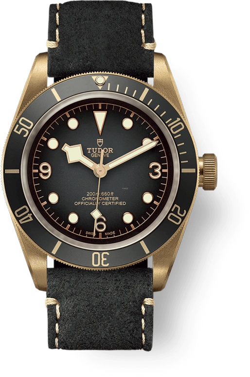 Tudor Black Bay 79250BA-0001