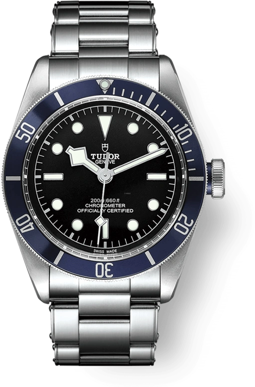 Tudor Black Bay 79230B-0008