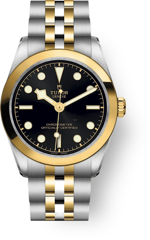 Tudor Black Bay 31-36-39-41 79603-0001