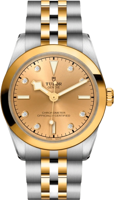 Tudor,Black Bay 31-36-39-41 31mm,31mm,Yellow Gold,Stainless Steel,Champagne,Automatic,50hours,In-house Caliber,79603,79603-0008