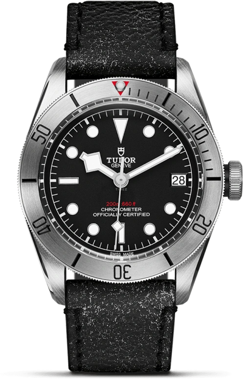 Tudor Black Bay 79730-0005