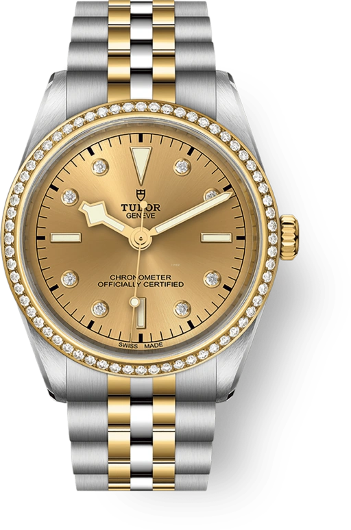 Tudor,Black Bay 31-36-39-41 36mm,36mm,Yellow Gold,Stainless Steel,Champagne,Automatic,70hours,In-house Caliber,79653,79653-0007