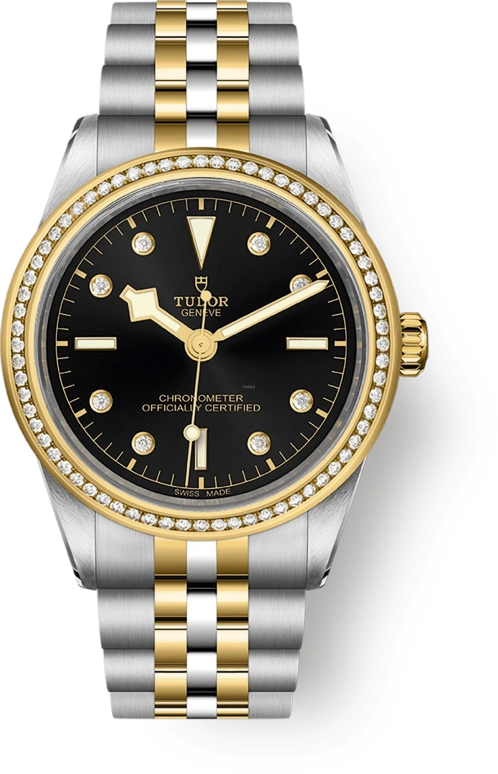 Tudor Black Bay 31-36-39-41 79673-0005