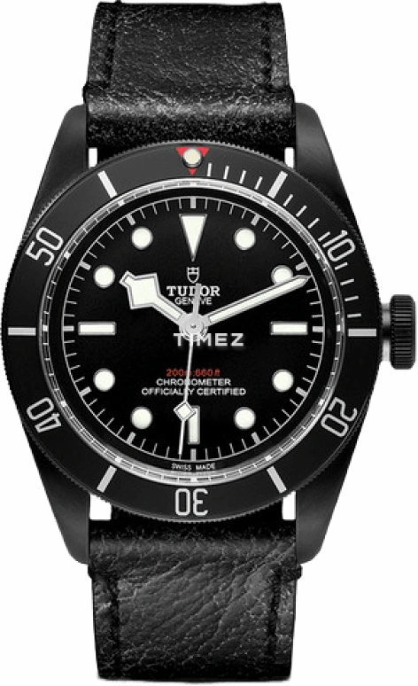 Tudor Black Bay 79230DK-0004
