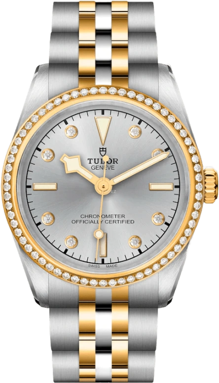 Tudor,Black Bay 31-36-39-41 31mm,31mm,Yellow Gold,Stainless Steel,Silver,Automatic,50hours,In-house Caliber,79613,79613-0006