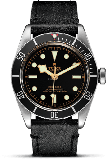Tudor Black Bay 79230N-0001