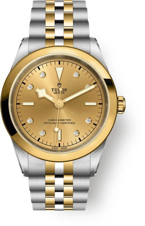 Tudor,Black Bay 31-36-39-41 41mm,41mm,Yellow Gold,Stainless Steel,Silver,Automatic,70hours,In-house Caliber,79683,79683-0008