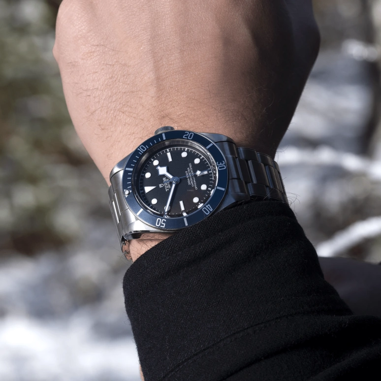 Tudor,Black Bay 41mm,41mm,Stainless Steel,Black,Automatic,70hours,In-house Caliber,79230B,79230B-0008