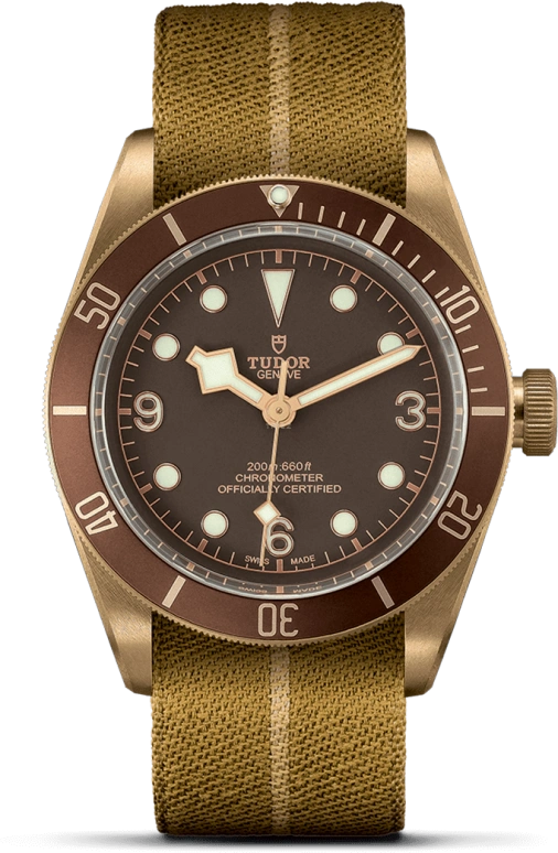 Tudor Black Bay 79250BM-0003