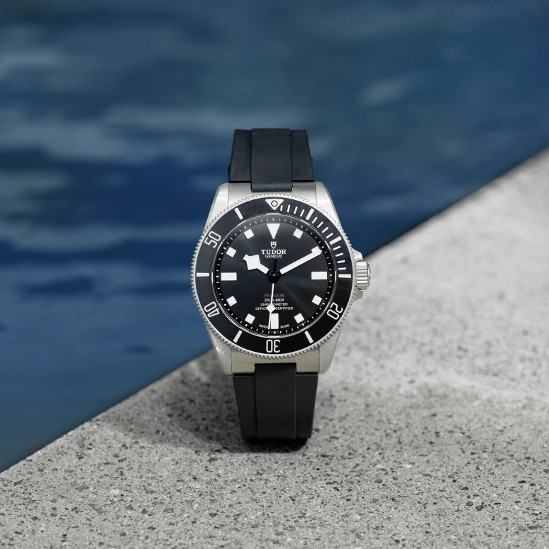 Tudor,Pelagos 39mm,39mm,Titanium Gold,Luminous,Black,Automatic,70hours,In-house Caliber,25407N,25407N-0001