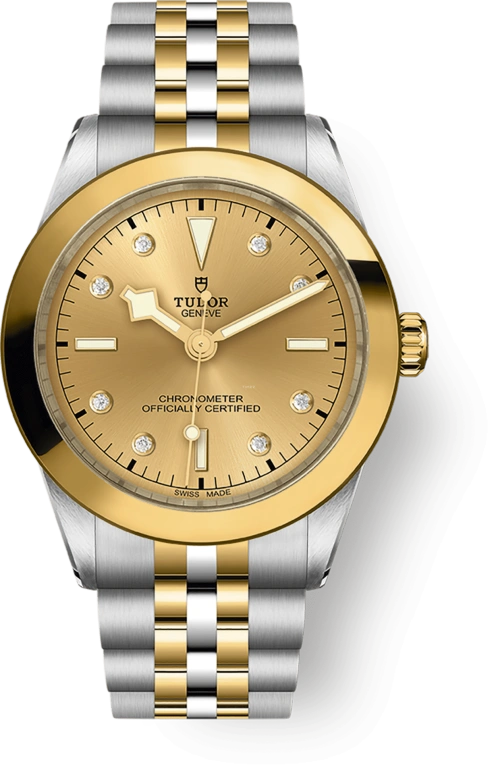 Tudor Black Bay 31-36-39-41 79663-0008