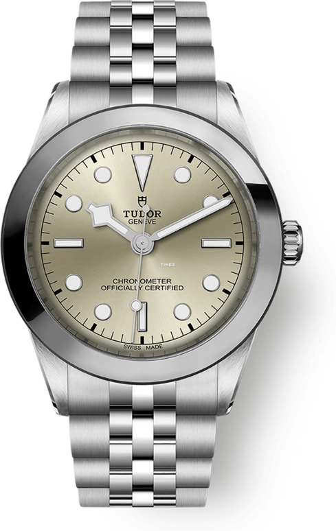 Tudor,Black Bay 39mm,39mm,Stainless Steel,Champagne,Automatic,70hours,In-house Caliber,79660,79660-0003