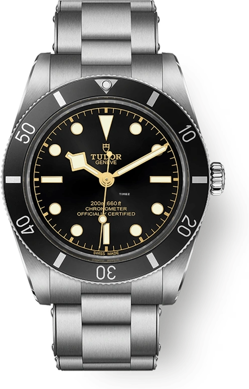 Tudor Black Bay 54 79000N-0001