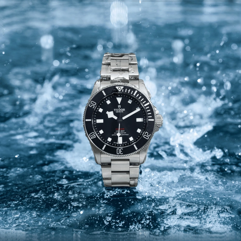 Tudor,Pelagos 39mm,39mm,Titanium Gold,Luminous,Black,Automatic,70hours,In-house Caliber,25407N,25407N-0001