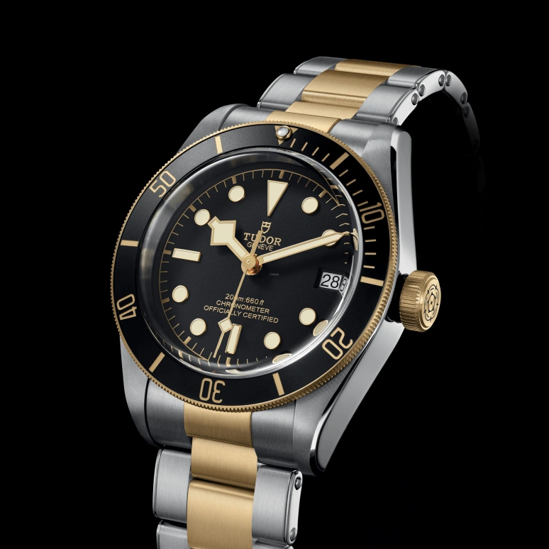 Tudor,Black Bay 41mm,41mm,Yellow Gold,Stainless Steel,Black,Automatic,Date,70hours,79733N,79733N-0008