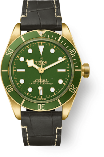 Tudor Black Bay 58 79018V-0001