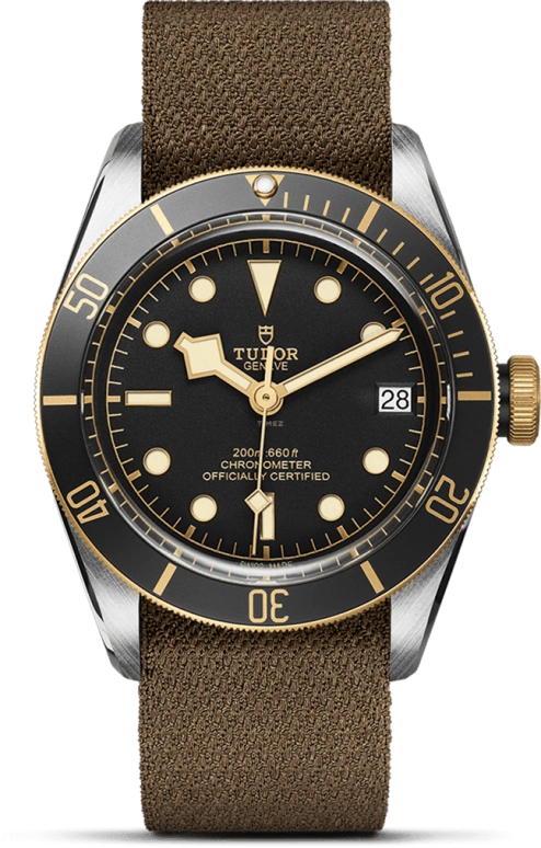 Tudor,Black Bay 41mm,41mm,Yellow Gold,Stainless Steel,Black,Automatic,Date,70hours,79733N,79733N-0005
