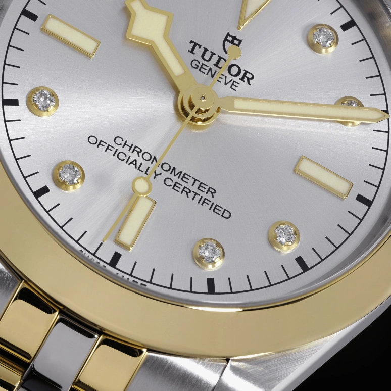Tudor,Black Bay 31-36-39-41 39mm,39mm,Yellow Gold,Stainless Steel,Silver,Automatic,70hours,In-house Caliber,79663,79663-0007