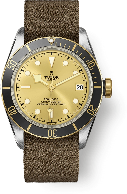 Tudor Black Bay 79733N-0006